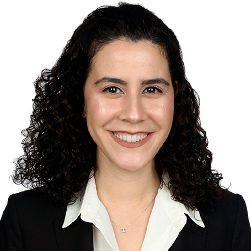 elif-cicek